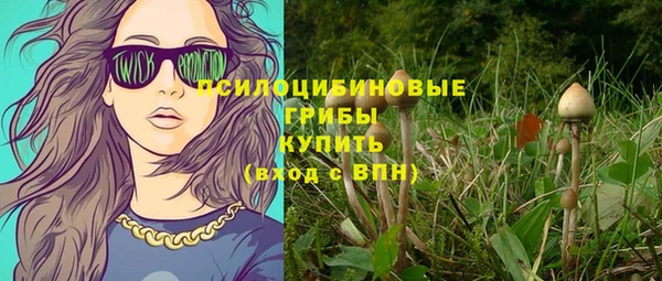 mdpv Надым