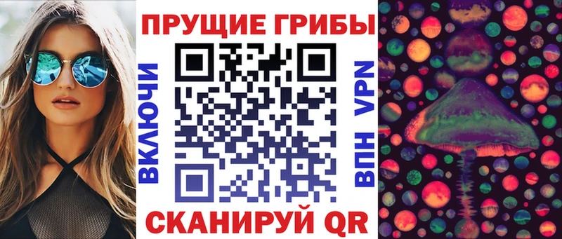 Псилоцибиновые грибы GOLDEN TEACHER  хочу наркоту  Новомичуринск 
