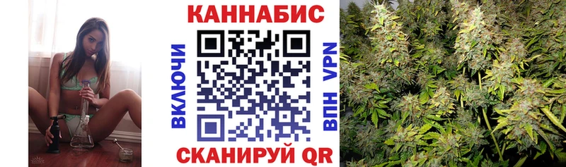 Конопля White Widow  где можно купить   KRAKEN ссылка  Новомичуринск 
